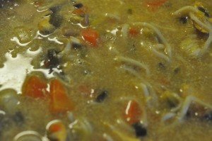 Karrysuppe med kylling, nudler og kokosmælk