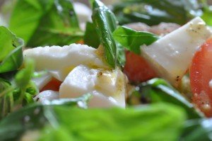 Tomatsalat med mozzarella & olie eddike dressing