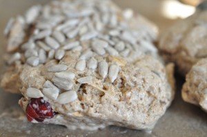 Rugbrødsstykker af rugbrødsblanding - med mandler og tranebær 