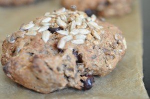 Rugbrødsstykker af rugbrødsblanding - med mandler og tranebær 