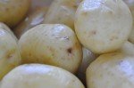 Svinefilet med ovnkartofler bagte løg & tzatziki