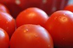 Tomatsalat med feta ost & basilikum - opskrift