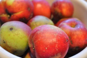 Sprød applecrumble med hasselnødder, kokos og kanel - billede af æbler
