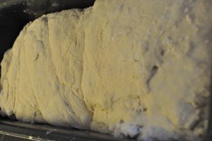 Grunddej til pizzasnegle, franskbrød og boller