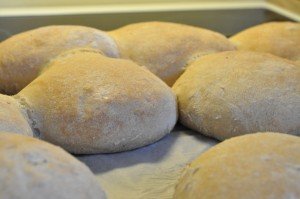 Grunddej til pizzasnegle, franskbrød og boller