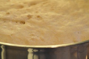 Grunddej til pizzasnegle, franskbrød og boller