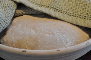 Grissini, boller og de flotteste brød af samme grunddej