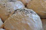 Grissini, boller og de flotteste brød af samme grunddej