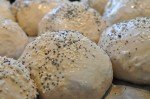 Grissini, boller og de flotteste brød af samme grunddej