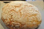 Grissini, boller og de flotteste brød af samme grunddej