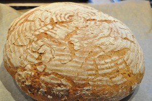 Grissini, boller og de flotteste brød af samme grunddej