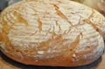 Grissini, boller og de flotteste brød af samme grunddej