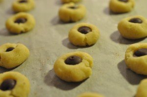 Småkager med vanilje og chokolade opskrift