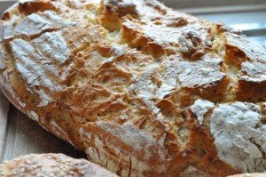 Brød og boller med havregryn og majsmel 