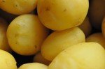 Kartoffelsalat med fetaost, tomat og forårsløg