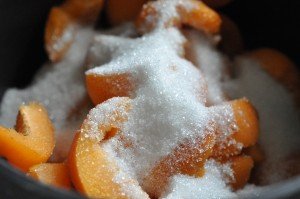 Abrikosmarmelade med vanilje - nem opskrift
