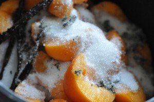 Abrikosmarmelade med vanilje - nem opskrift