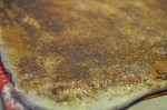 Kanelsnegle med æblemos - fedtfattige og sundere