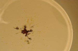 Chokoladekarameller i mikroovn nem opskrift