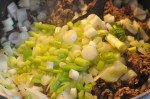Lasagne med oksekød, squash og gulerødder
