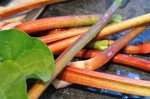 Rabarberkage med marcipan og skyr opskrift