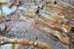 Kalveculotte langtidsstegt i øl med flødesovs