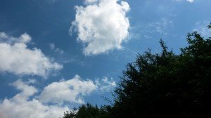 Sommerlig fødseldagstur til Faldsled