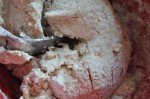 Madtærter med bacon, løg og ost - opskrift