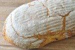 Franskbrød med Manitoba & majsmel - majsbrød