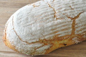 Franskbrød med Manitoba & majsmel - majsbrød