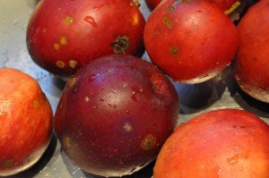 Æblekage med crumble af havregryn & brun farin