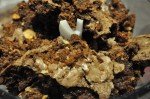 Chokoladekage til havregrynskugler