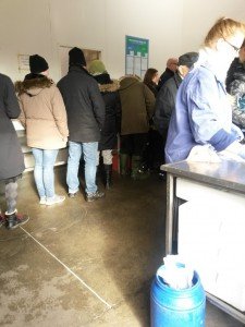 Bønnerup Havn og på besøg hos fiskemanden