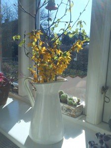 2012-04-07 10.32.52