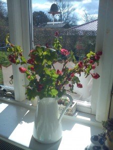 2012-04-15 11.37.12