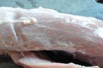 Mørbrad i fad med pikant flødeost & peberfrugt