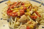 Kylling med ostesovs og pasta - nem gryderet