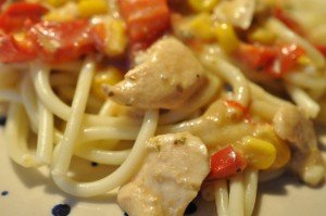 Kylling med ostesovs og pasta - nem gryderet
