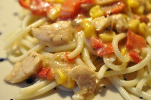 Kylling med ostesovs og pasta - nem gryderet
