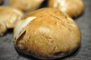 Svampesauce - sovs med portobello svampe