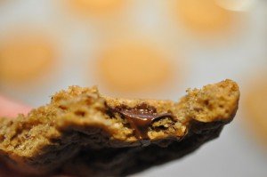 Julecookies med kanel, ingefær & chokolade