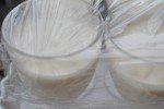 Citronfromage med flødeskum og granatæble