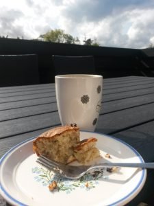Rabarberkage nem hurtig fedtfattig opskrift