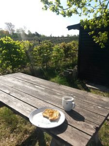 Rabarberkage uden smør - nem hurtig fedtfattig opskrift