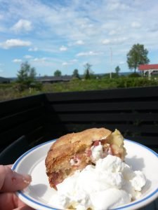 Rabarberkage uden smør - nem hurtig fedtfattig opskrift
