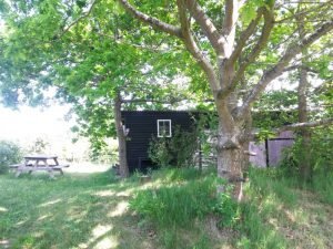 Sommerhuslykke, grill og dybblå himmel