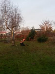 2016-12-23-15-09-42