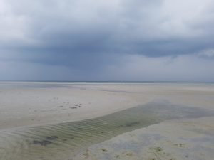 Sommersol og driversøndag i sommerhuset