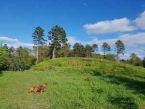 Sommeridyl i sommerhuset & forårsdrømme