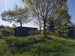 Sommeridyl i sommerhuset & forårsdrømme